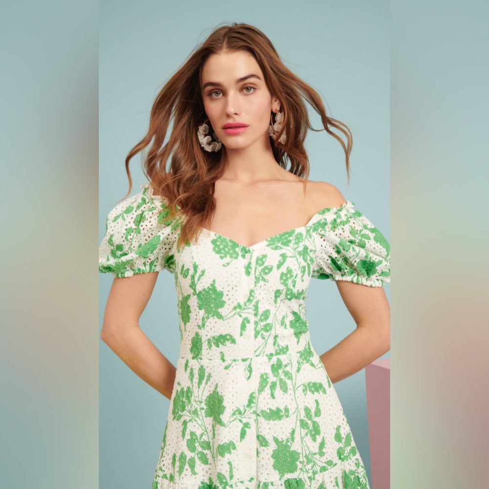 Rachel Parcell | Stencil Floral Eyelet Puff Sleeve Midi Dress Foliage Green - Picture 12 of 12